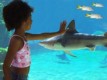Cayman Turtle Centre